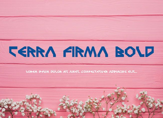 Terra Firma Bold example